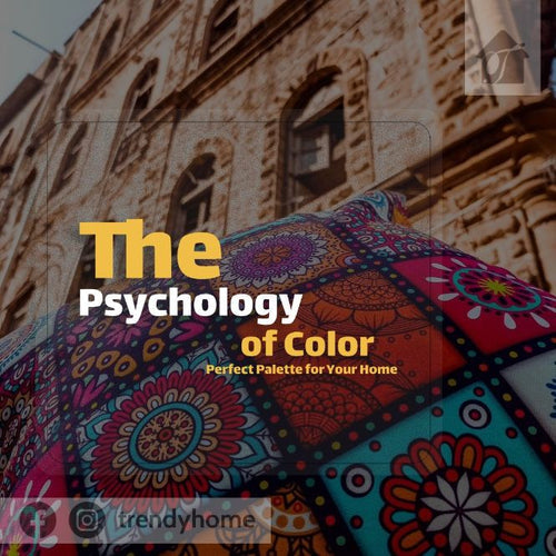 How to Choose the Perfect Palette for Your Home In Pakistan?