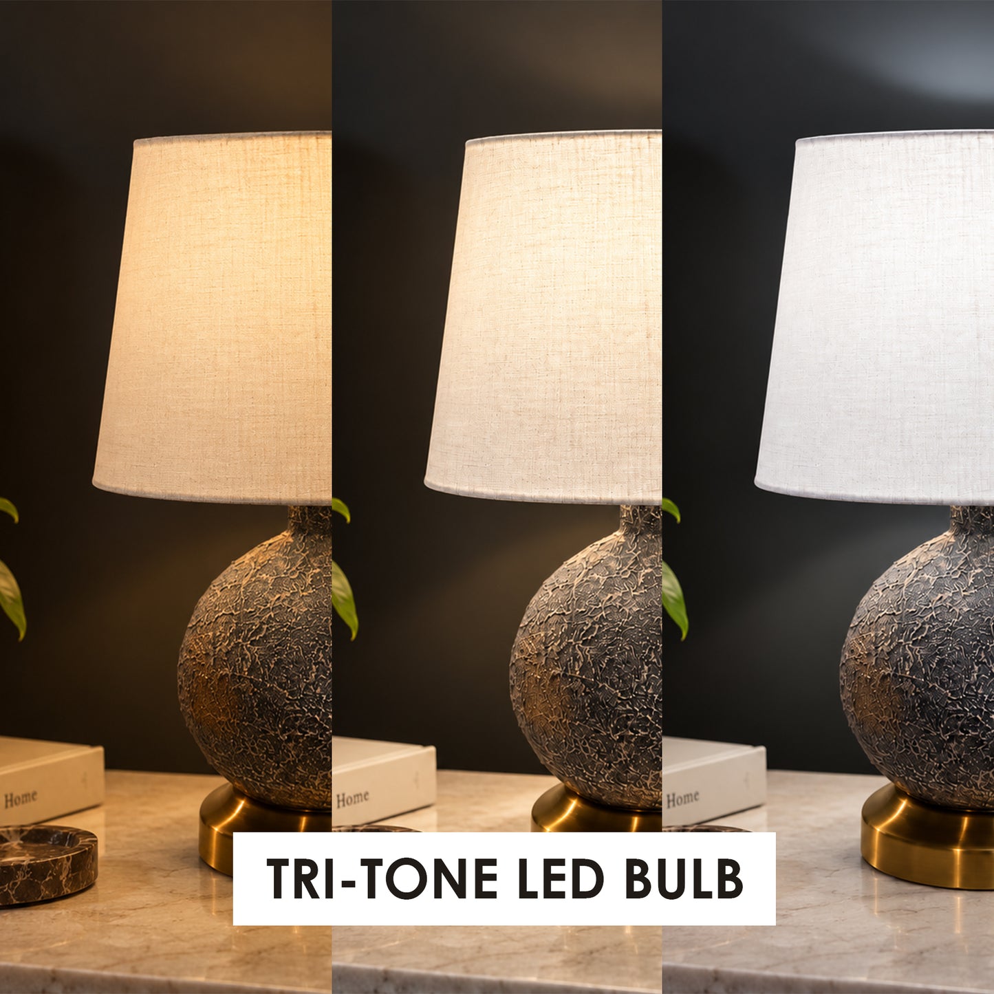 Graphite Arc Table Lamp