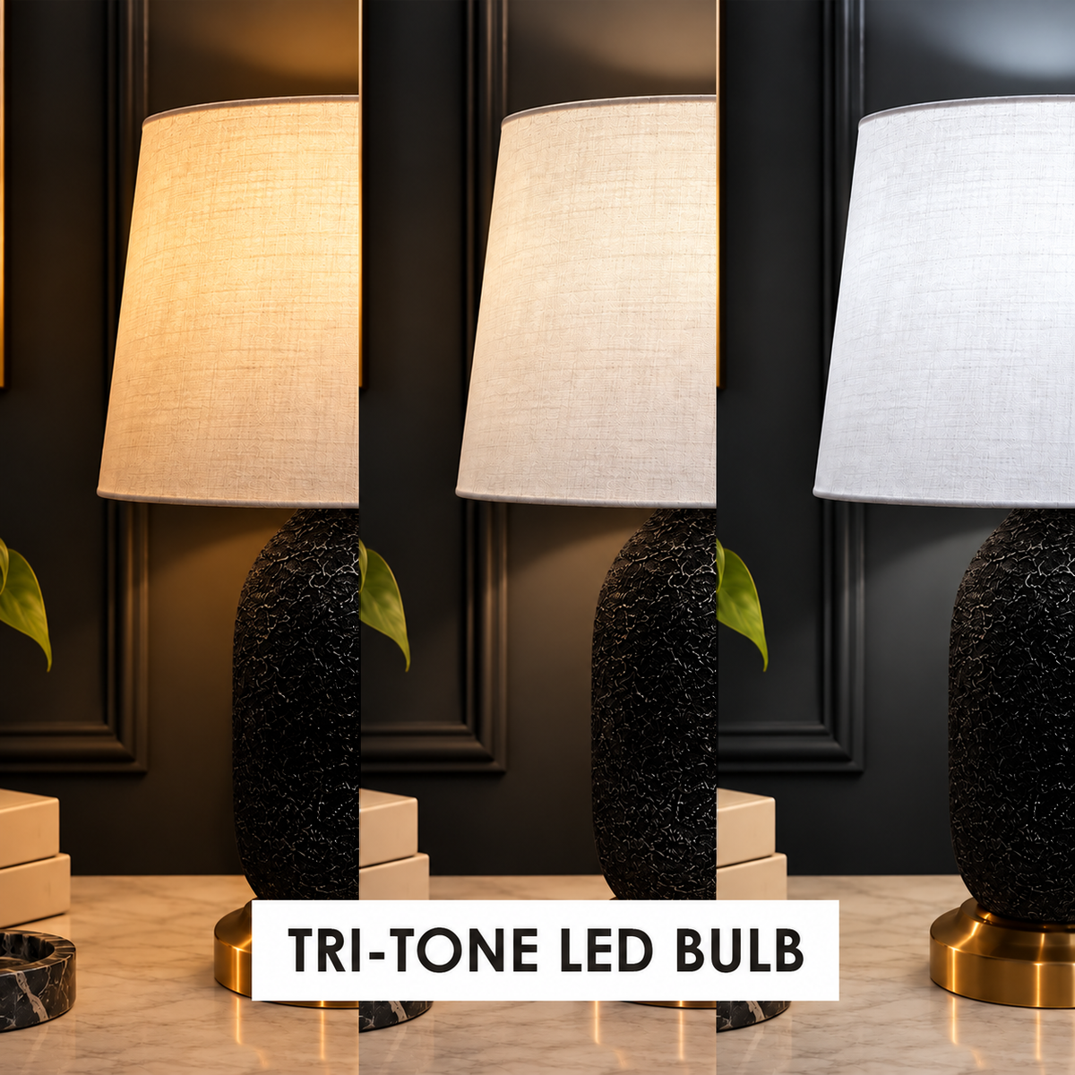 Carbon Arc Table Lamp Trendy Home